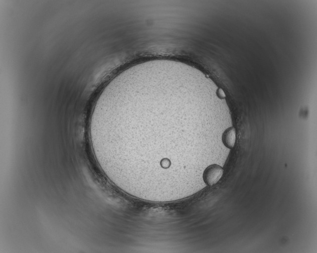 X0000112480635200909071158