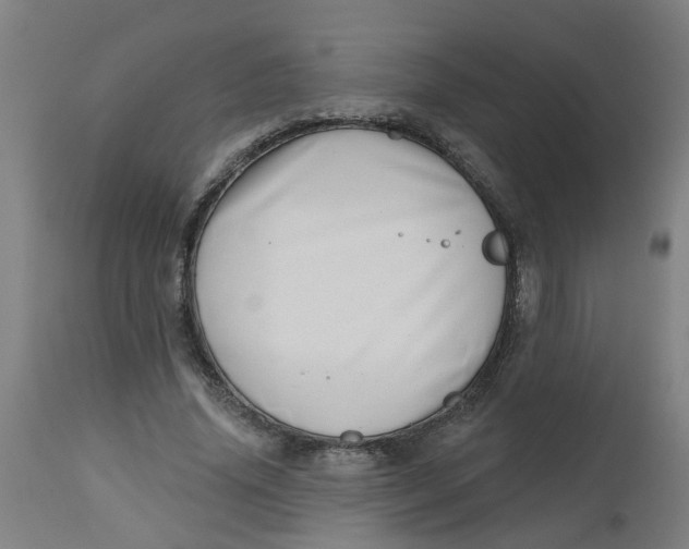 X0000112480636200909071158