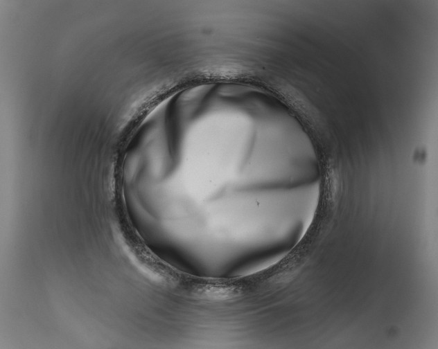 X0000112480638200909071158