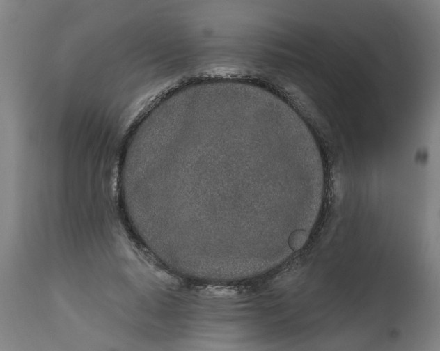 X0000112480640200909071158