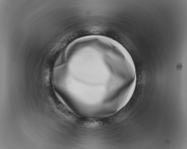 X0000112480646200909071158