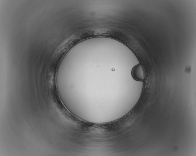 X0000112480648200909071158