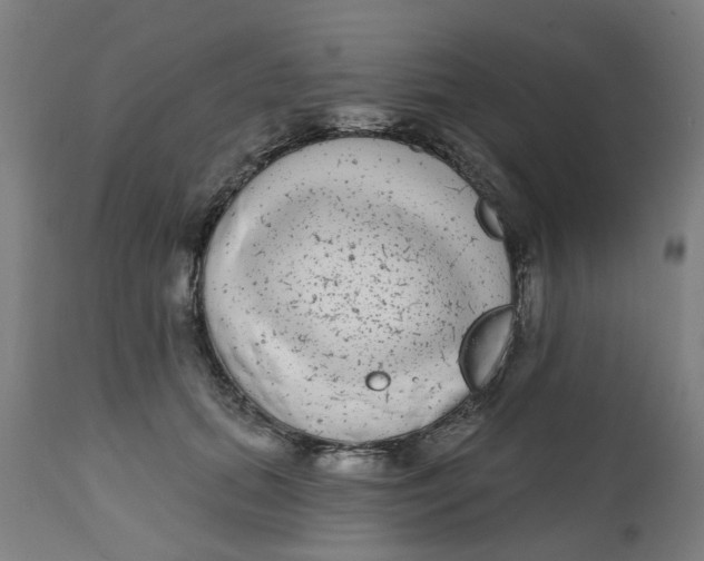 X0000112480655200909071159