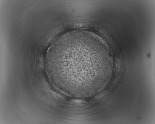 X0000112480659200909071159