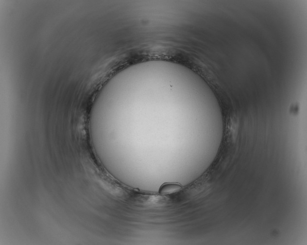 X0000112480663200909071159