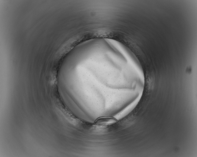 X0000112480665200909071159