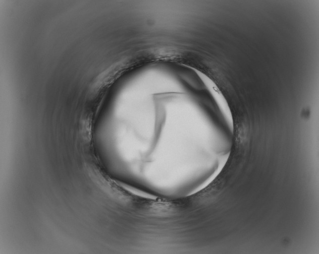 X0000112480666200909071159