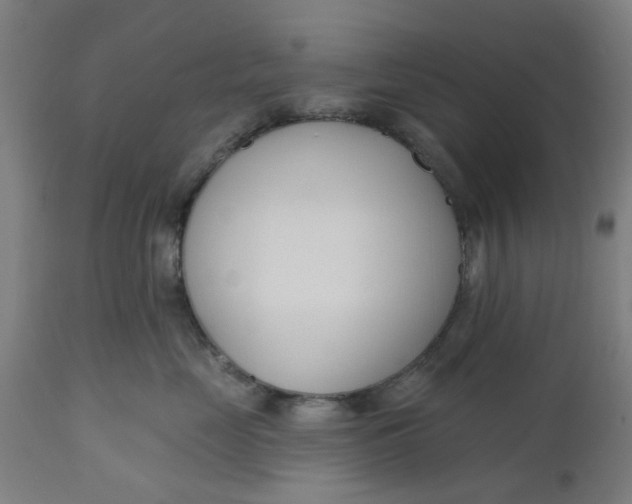 X0000112480669200909071159