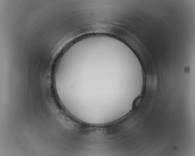 X0000112480676200909071158