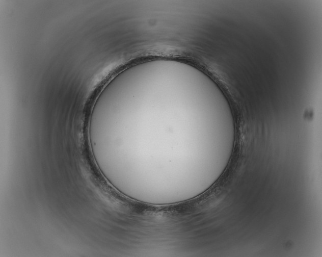 X0000112480679200909071158