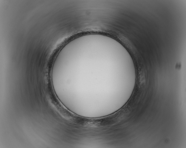 X0000112480680200909071158