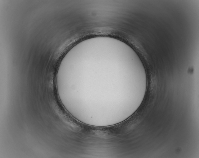 X0000112480681200909071158