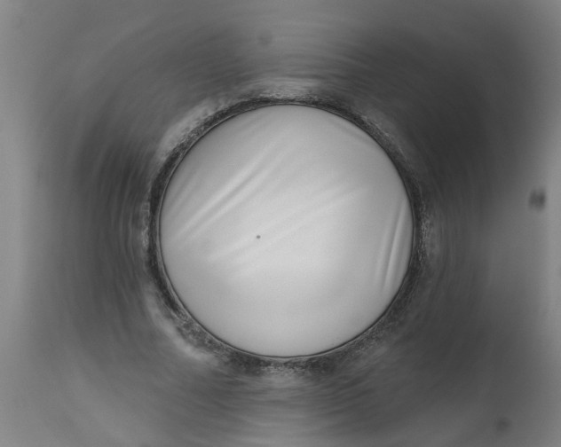 X0000112480682200909071158