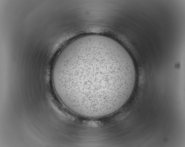 X0000112480683200909071158