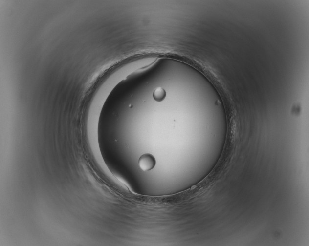 X0000112480684200909071158