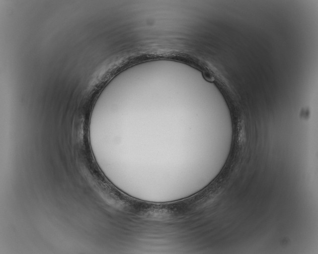 X0000112480685200909071158