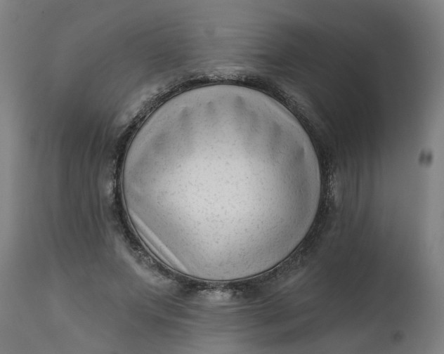 X0000112480687200909071158