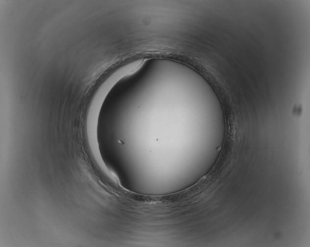 X0000112480692200909071158