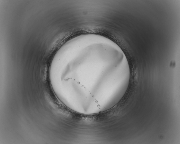 X0000112480694200909071157