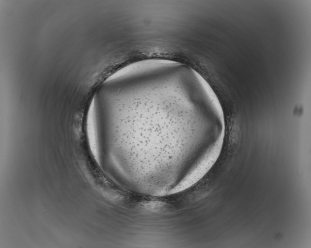 X0000112480695200909071157