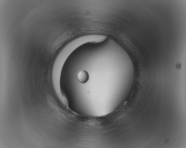 X0000112480696200909071157