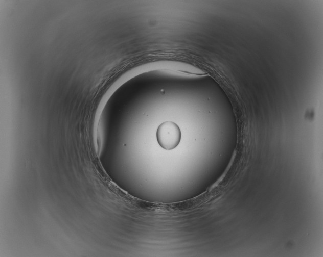 X0000112480697200909071157