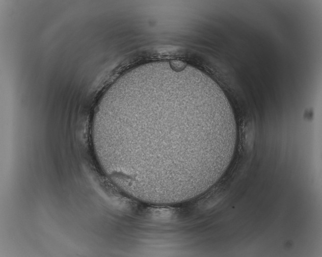 X0000112480698200909071157