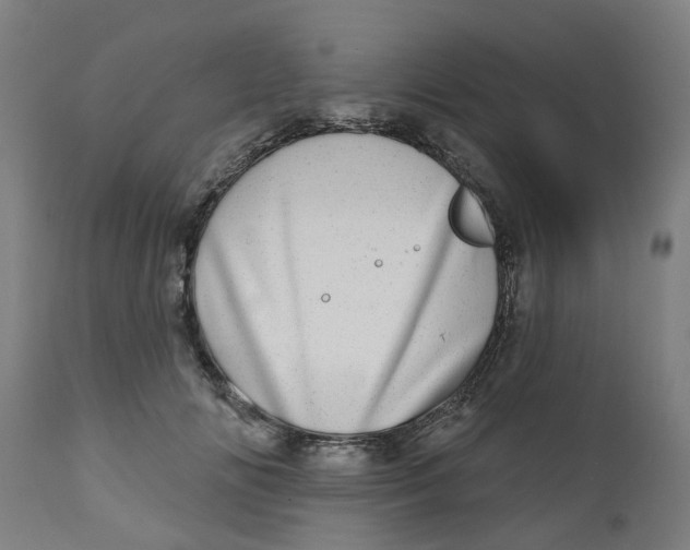 X0000112480702200909071157