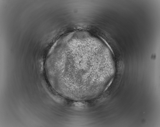 X0000112480703200909071157