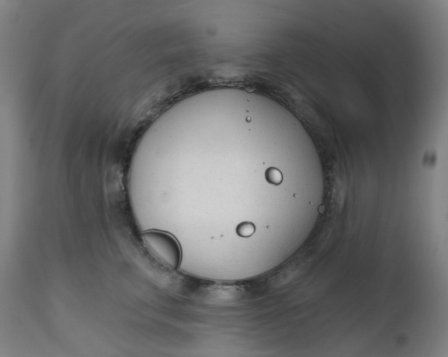 X0000112480711200909071157