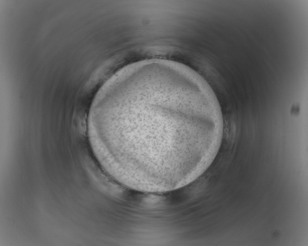 X0000112480718200909071157