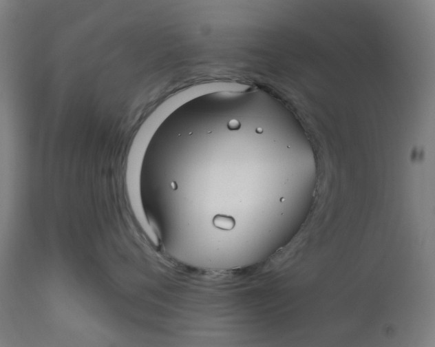 X0000112480720200909071157