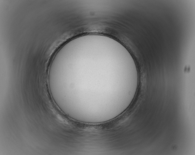 X0000112480721200909071156