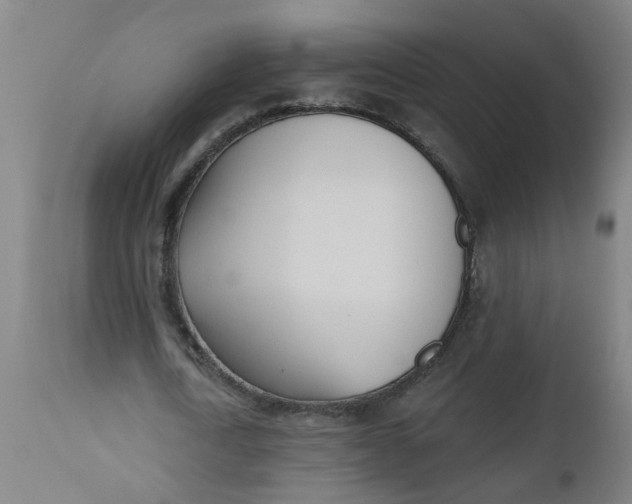 X0000112480722200909071156