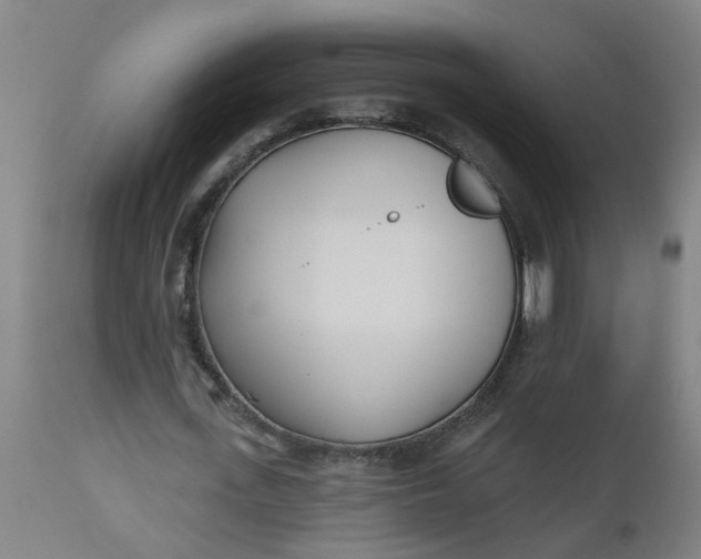 X0000112480723200909071156