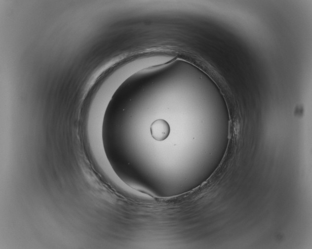 X0000112480724200909071156