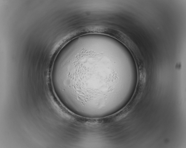 X0000112480725200909071156