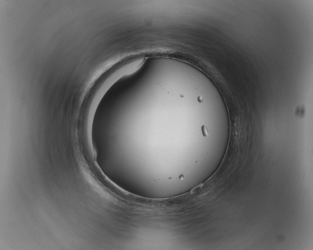 X0000112480726200909071156