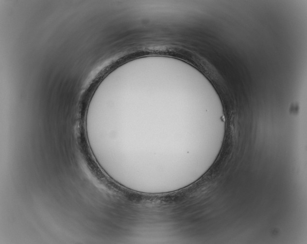 X0000112480728200909071156