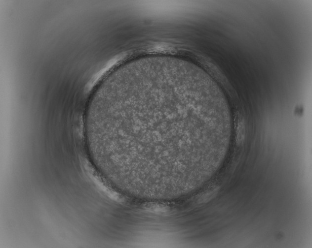 X0000112480729200909071156