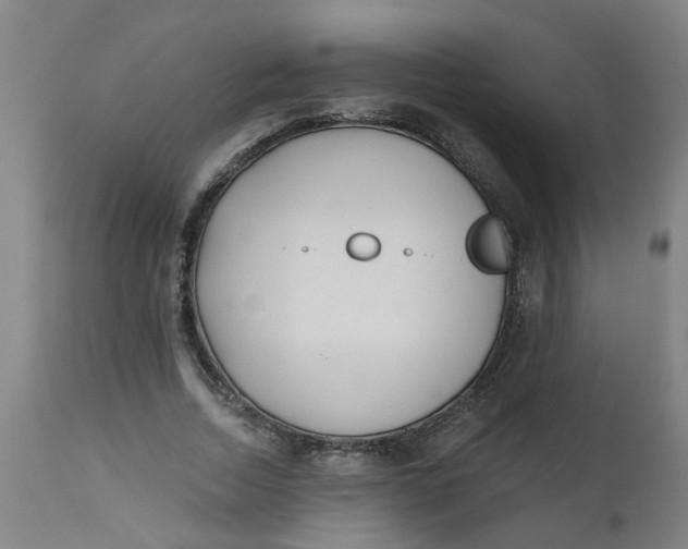 X0000112480730200909071156