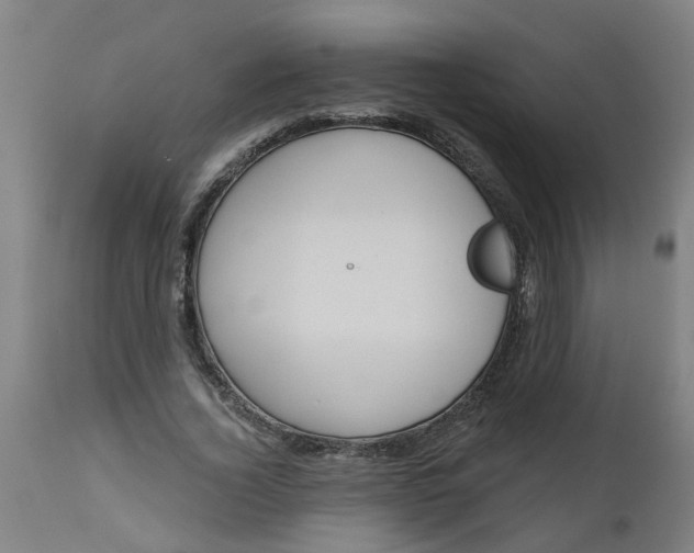 X0000112480732200909071156