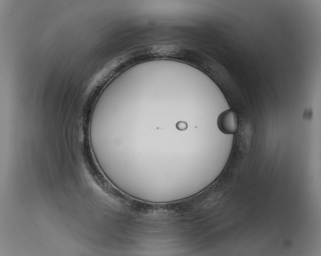 X0000112480734200909071156