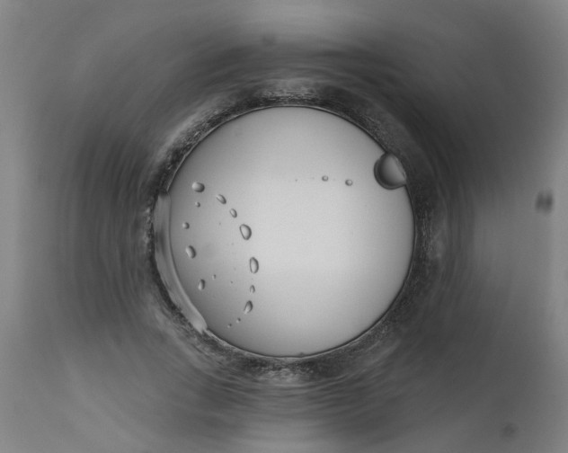 X0000112480735200909071156