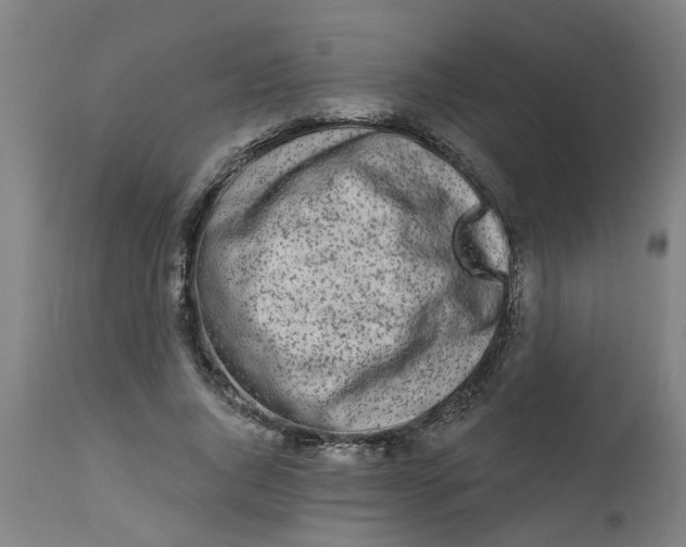 X0000112480736200909071156