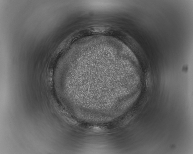 X0000112480737200909071156