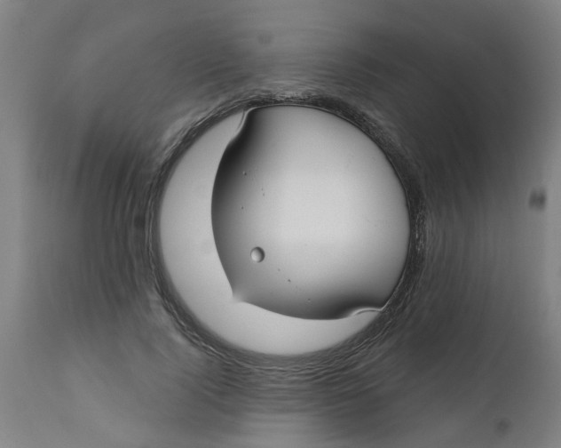 X0000112480740200909071157