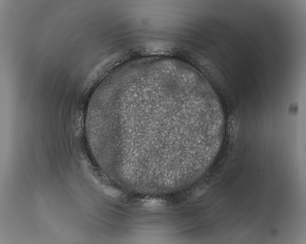 X0000112480741200909071157