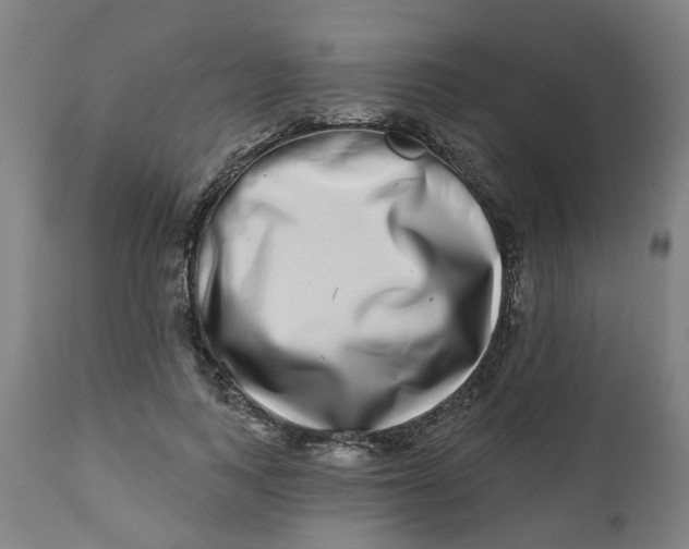 X0000112480743200909071157