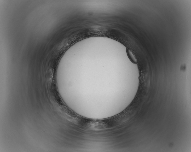 X0000112480752200909071157